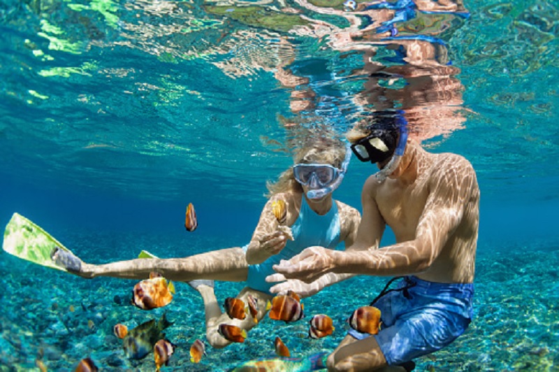 Tips Snorkeling Di Pantai Nglambor, Simak Sebelum Melakukannya!