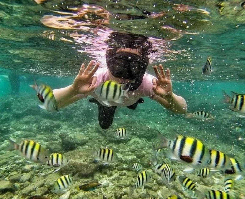 snorkeling pantai nglambor