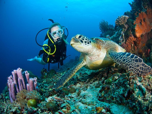 Tips Diving Pantai Nglambor untuk Menikmati Bawah Laut dengan Aman